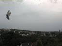 Vorschaubild von 30.07.2025 09:38