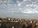 Vorschaubild von 19.12.2025 09:54